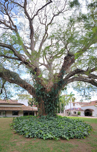 Corotu Spa, Gym and Beauty Salon El Chirú