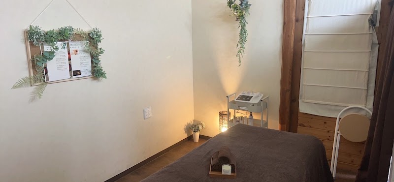 Crebia Beauty Salon Hada Shitsu Kaizen. Odo Yomogi Mushi. Taishitsu Kaizen. Soshin Senmon Salon Soraku District Seika Town - Day Spa in Soraku District Seika Town