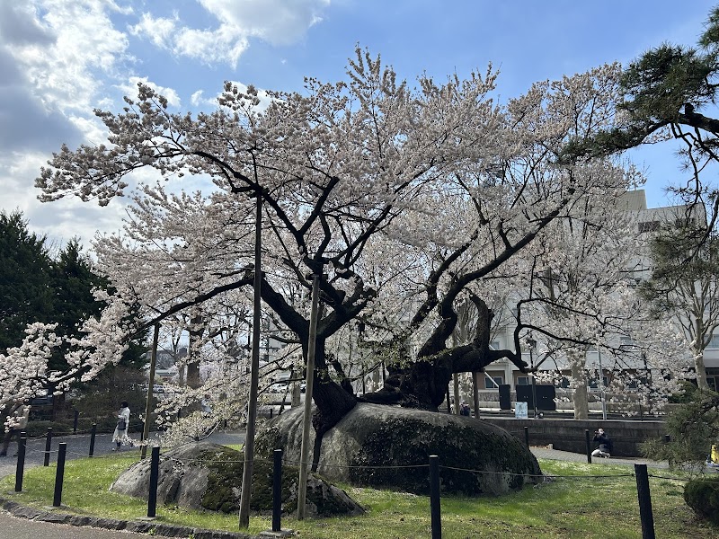 Crois Salon SAKURA Morioka - Day Spa in Morioka