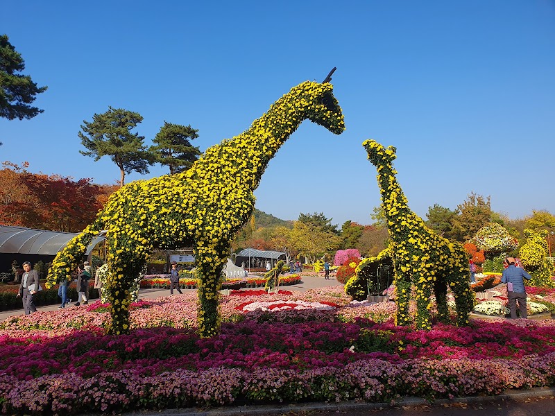 Daegu Arboretum photo