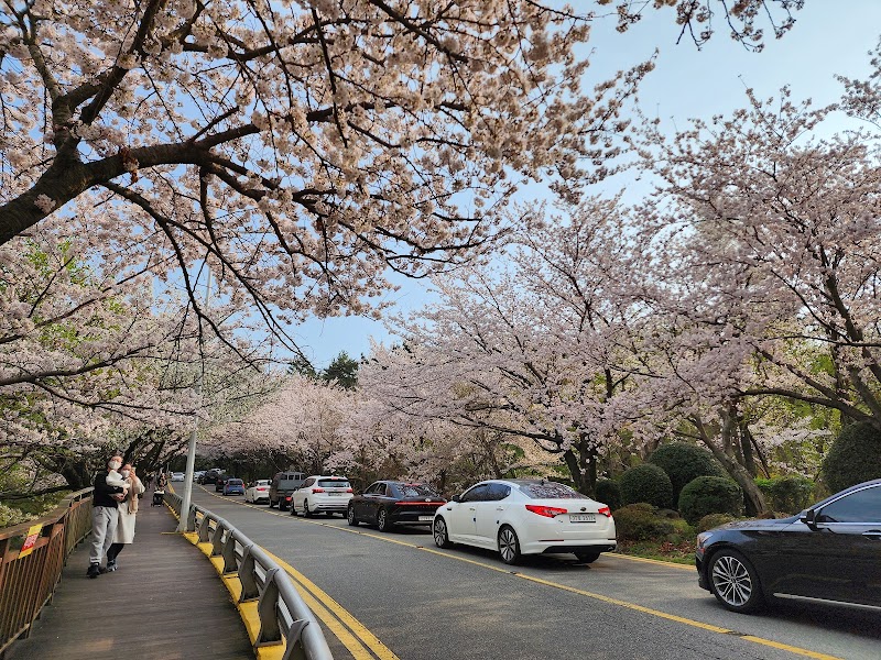 Dalmaji Hwangto Bulhan Jummak Cheondeok-ri - Day Spa in Cheondeok-ri