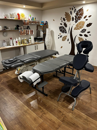 David Palkovič Masáže harmonie zdraví Větřní