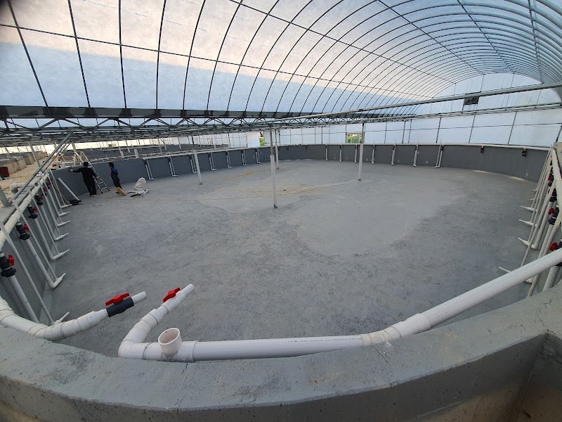 Ddiul Aqua Daesa-dong - Day Spa in Daesa-dong