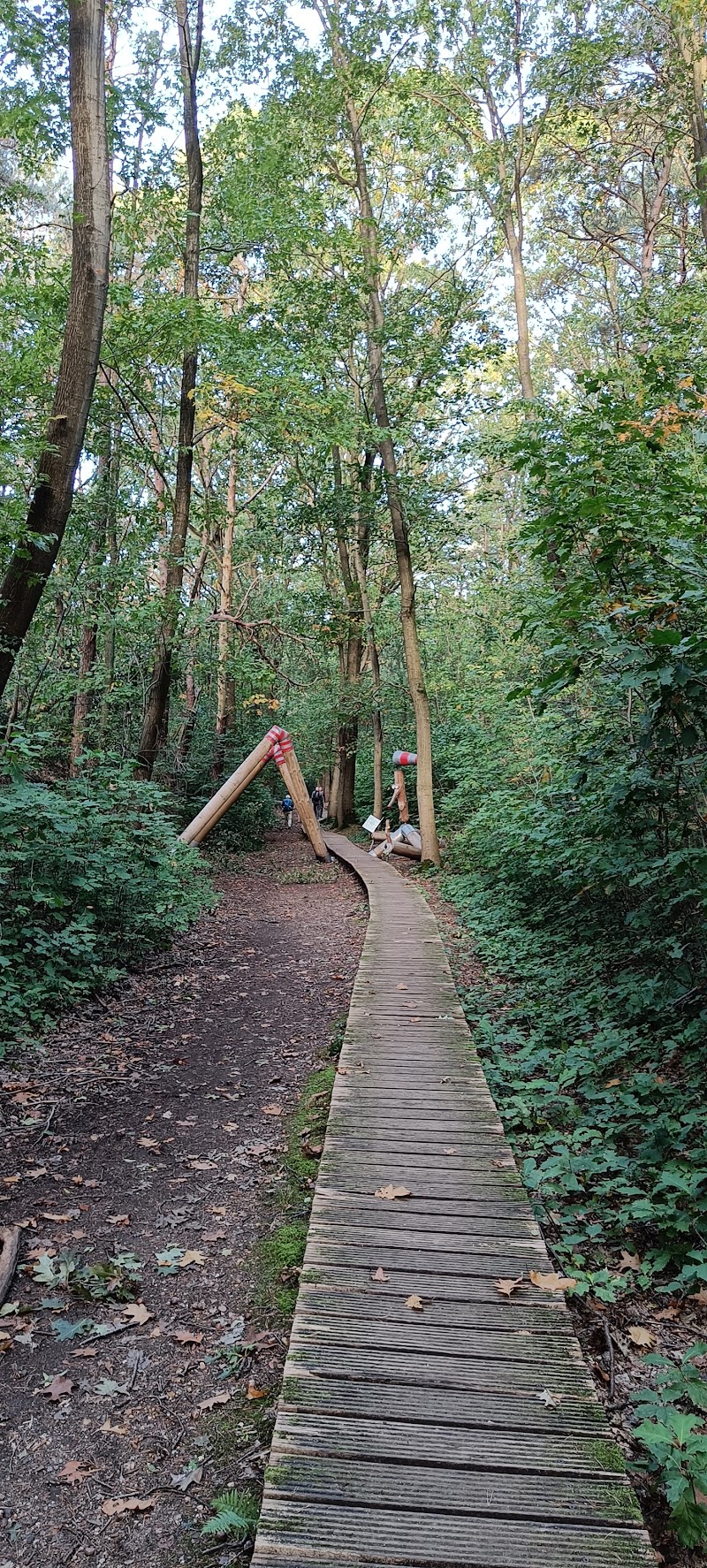 De Droom Genk - Day Spa in Genk