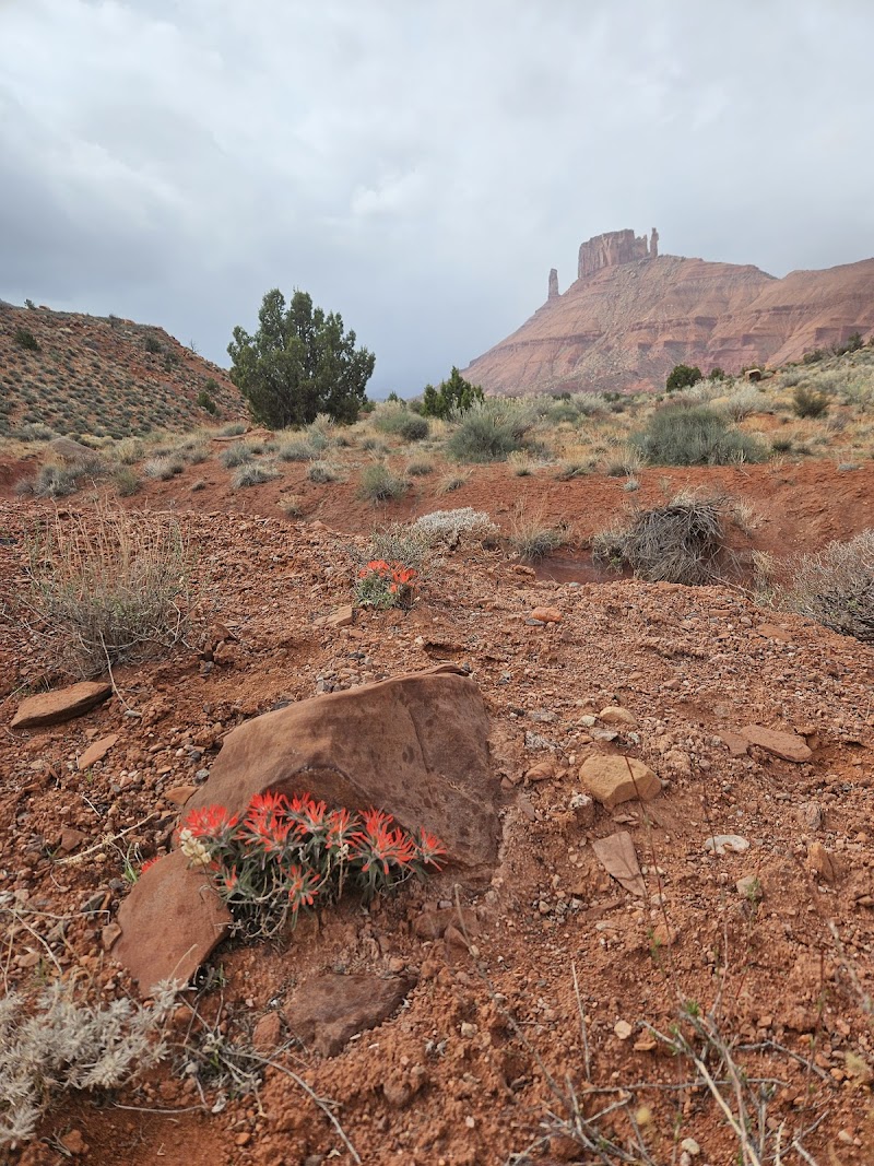 Del Sol Massage and Del Sole Nails Moab - Day Spa in Moab
