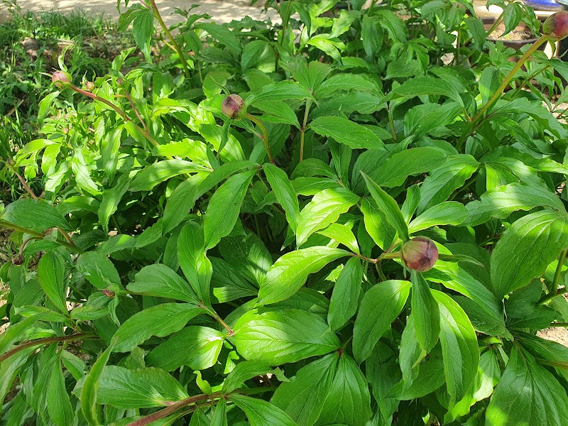Deokwon Oncheonjang Deoksan-myeon - Day Spa in Deoksan-myeon