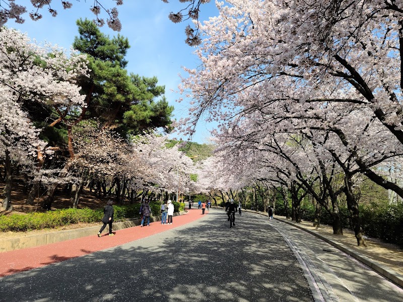 Deokyu Park Hogye 3-dong - Day Spa in Hogye 3-dong