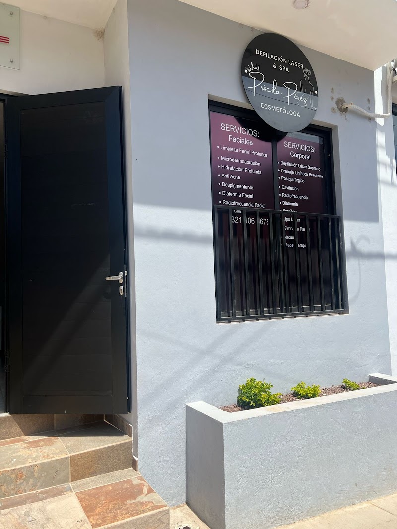 Depilación Láser & Spa Priscila Pérez Cosmetóloga Ayutla - Day Spa in Ayutla