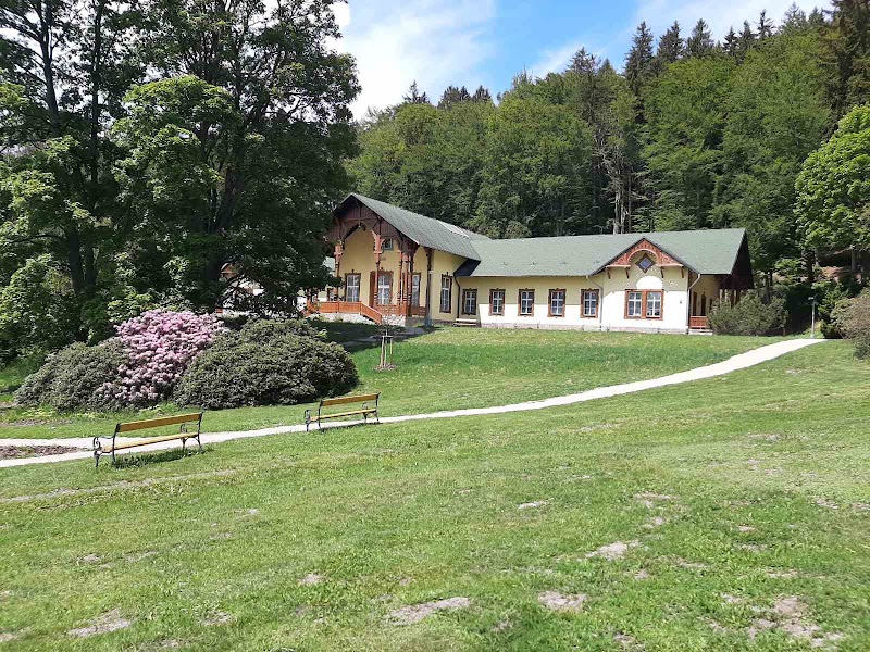 Detska Lazenska Lecebna Lázně Kynžvart - Day Spa in Lázně Kynžvart
