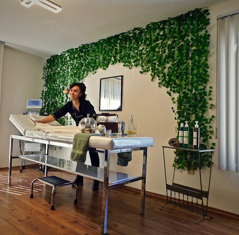 Devine & Spa Metepec photo