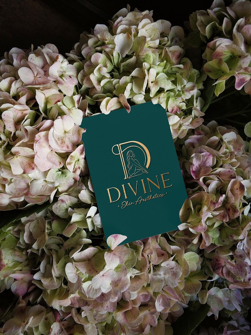 Divine Skin Aesthetics Commack - Day Spa in Commack