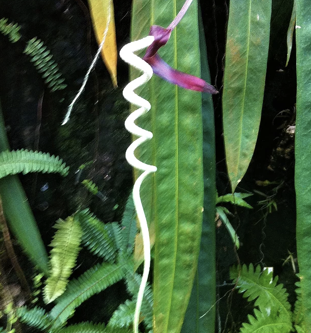 Doudin Françoise Massages Thérapeutiques Carouge - Day Spa in Carouge