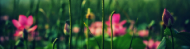 Down To Earth Skincare Huntington - Day Spa in Huntington