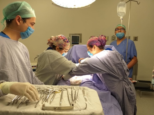 Dra. Allison González León photo