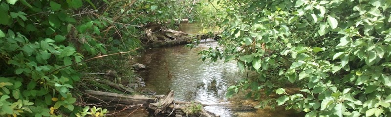 Drop Of Calm Nampa - Day Spa in Nampa