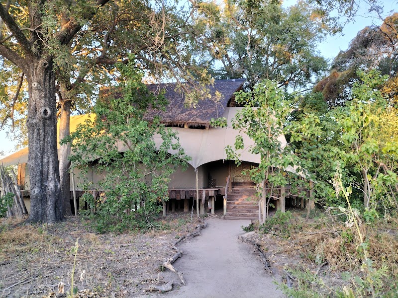 Duba Plains Camp Okavango Delta