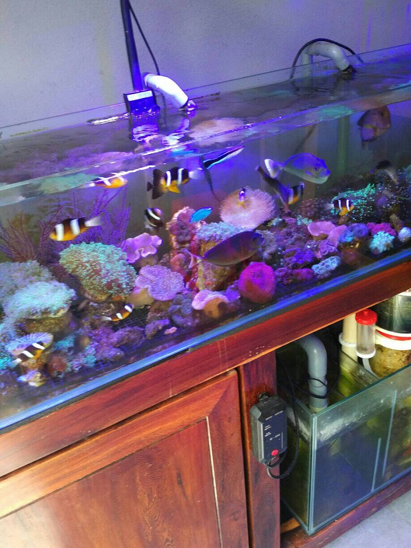 Dứt Điểm Tiền Đình Kon Tum - Wellness Retreat in Kon Tum