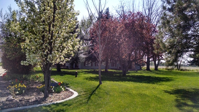 Eagle Chiropractic & Massage Therapy Idaho Falls - Day Spa in Idaho Falls