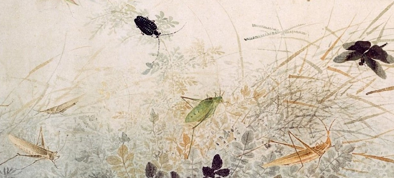 Eastern Touch Bodywork Westfield - Day Spa in Westfield