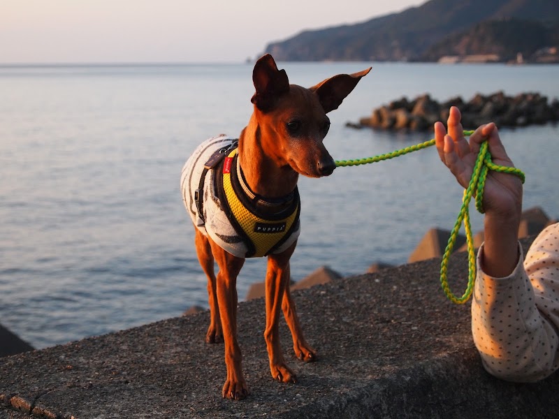 Echizen Kuriya Onsen Echizen Town - Thermal Spa in Echizen Town