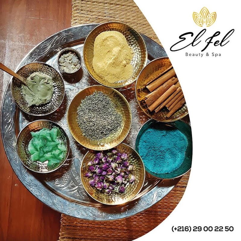 El FEL La Marsa Tunis