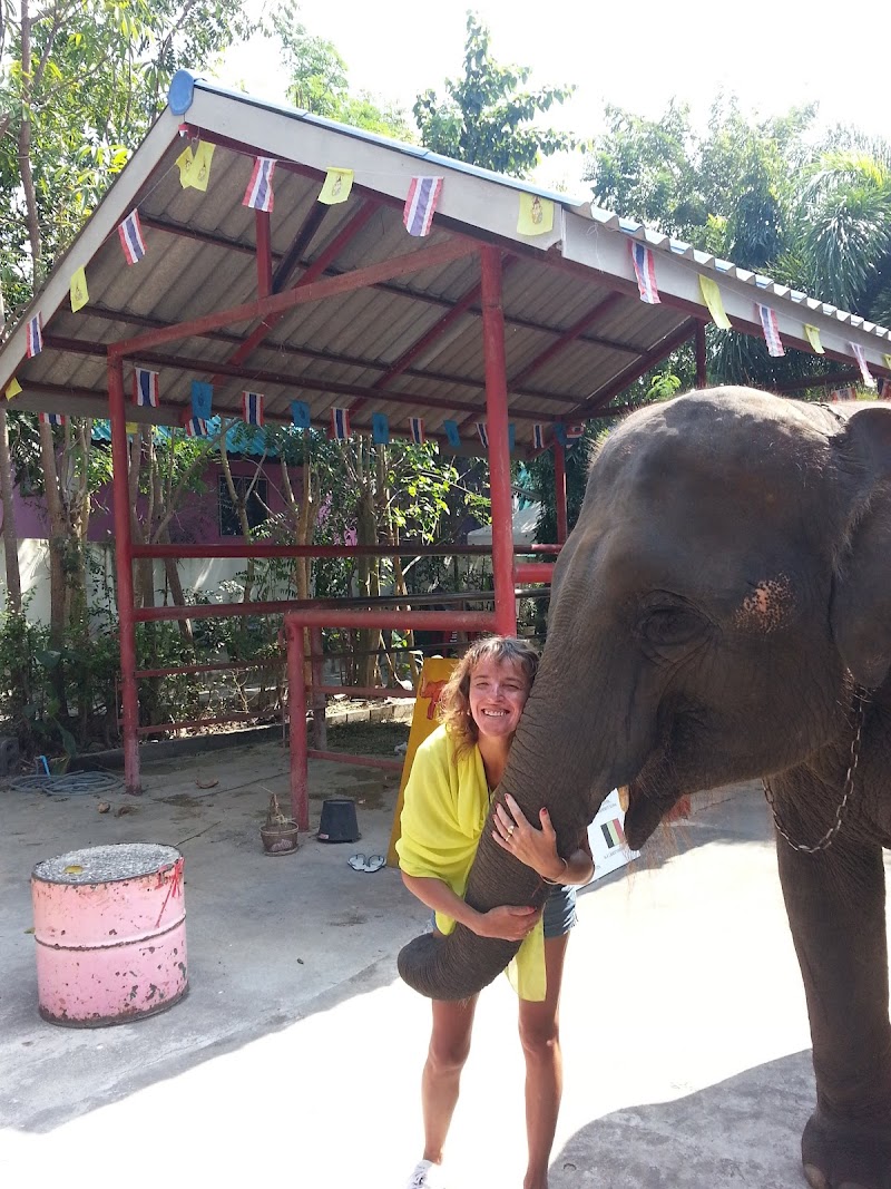 Elephant Thai massage Hua Hin - Day Spa in Hua Hin