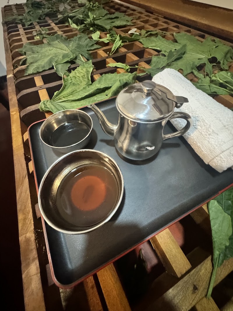 Ella Siddhajeewa Ceylon herbs (ayurveda medical center & wellness Center) - Medical Spa in Ella