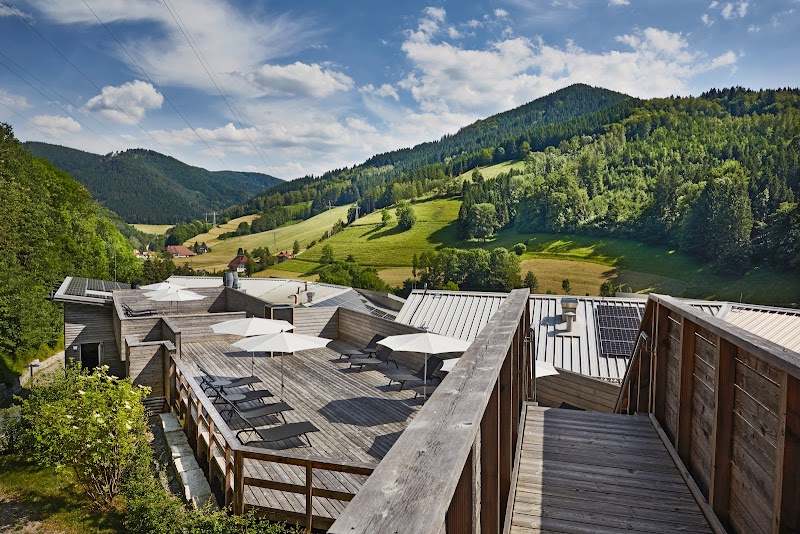 Elzland Hotel Pfauen Black Forest - Hotel Spa in Black Forest