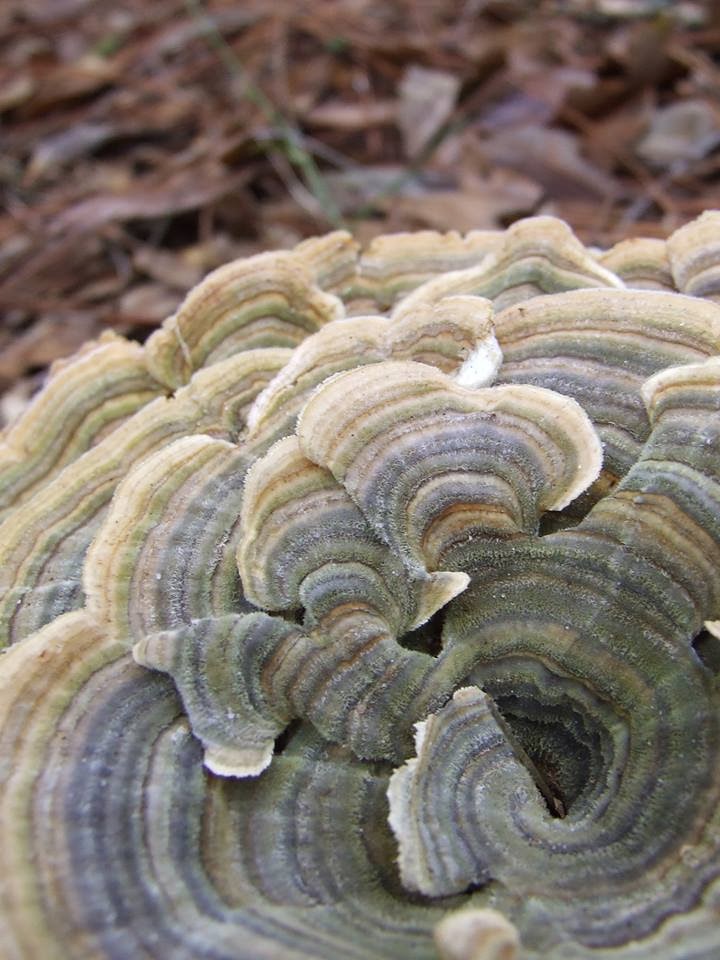 Energy Found Knoxville - Day Spa in Knoxville