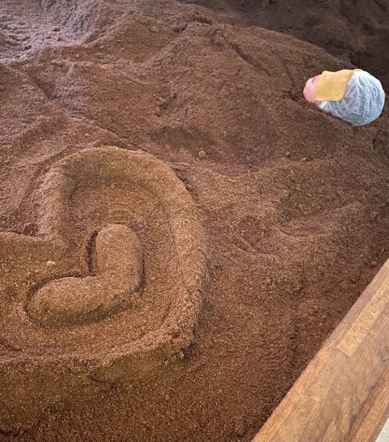 Enzyme Onsen Salon Kenbi Iwaki - Thermal Spa in Iwaki