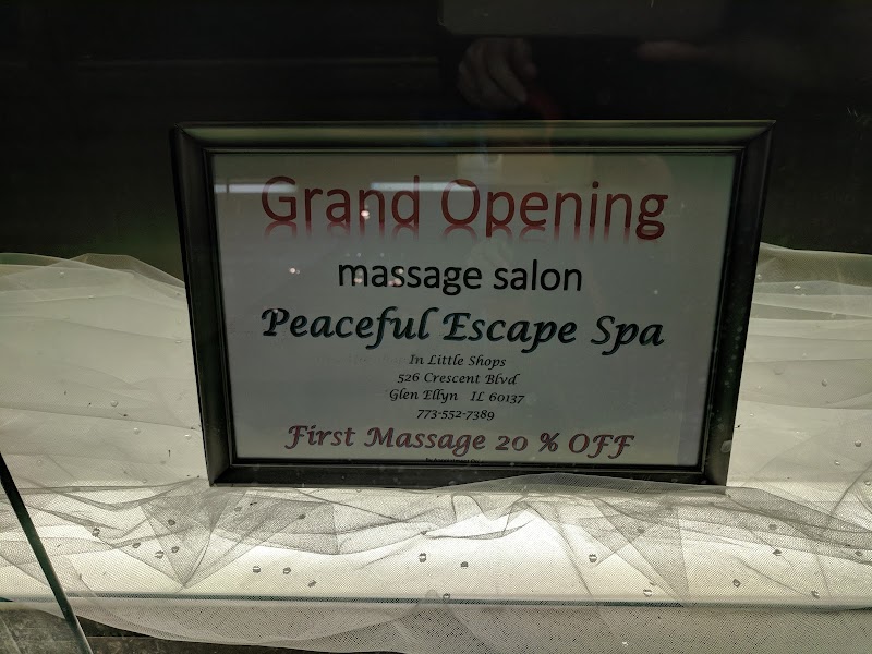 Escape Salon & Spa Chicago Glen Ellyn - Day Spa in Glen Ellyn