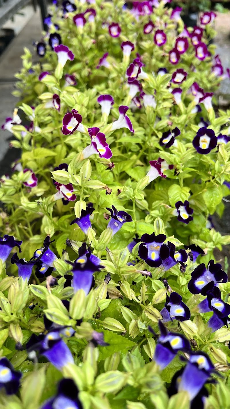 Juazeiro do Norte eSPAço natural - Day Spa in Juazeiro do Norte