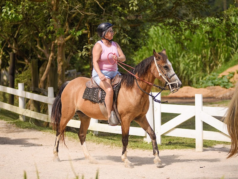 Espaço olhar Gaspar - Day Spa in Gaspar