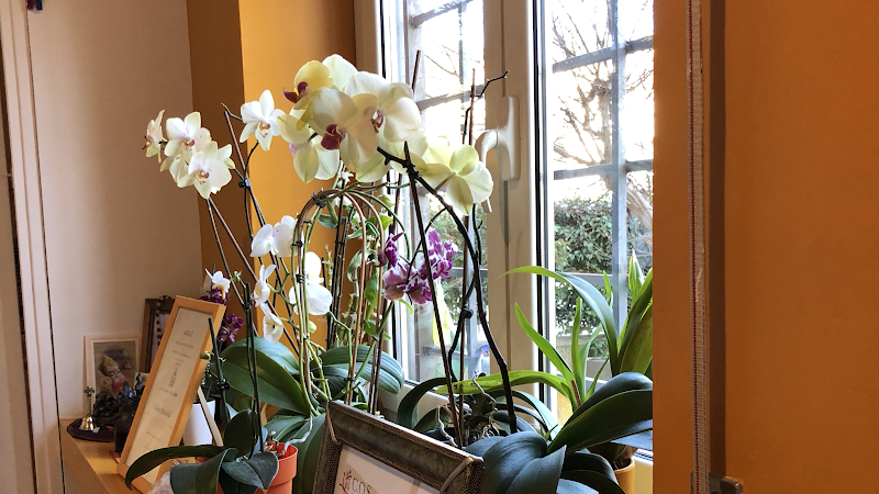 Estetica Ayur Bolsena - Day Spa in Bolsena