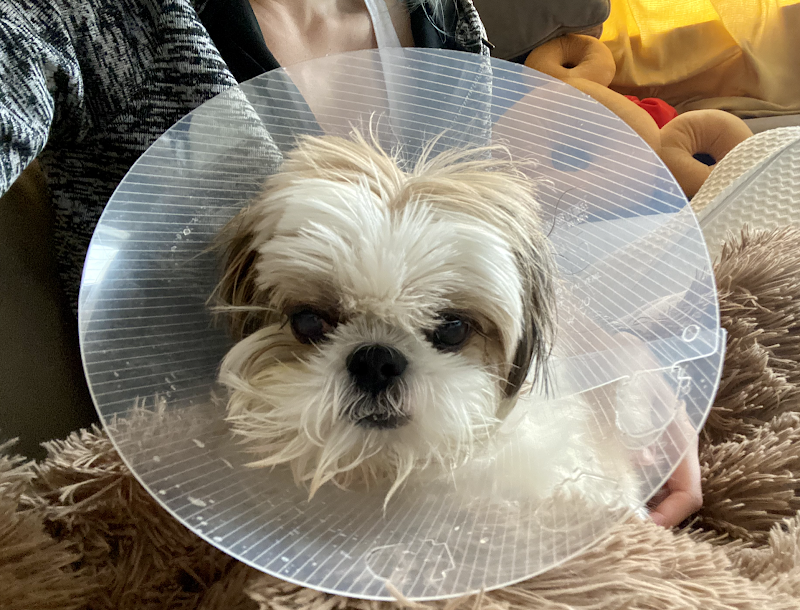 Eye Catcher Thornwood - Day Spa in Thornwood