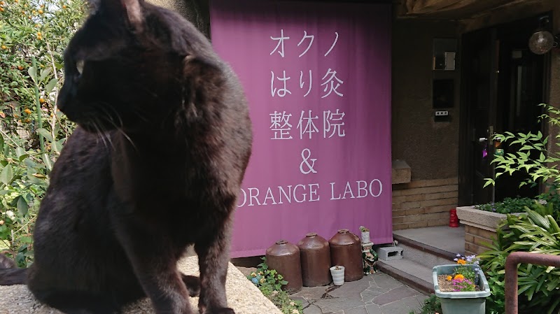 Fascia Release & Gut Health Salon orange.labo Miyakojima Ward, Osaka - Day Spa in Miyakojima Ward, Osaka