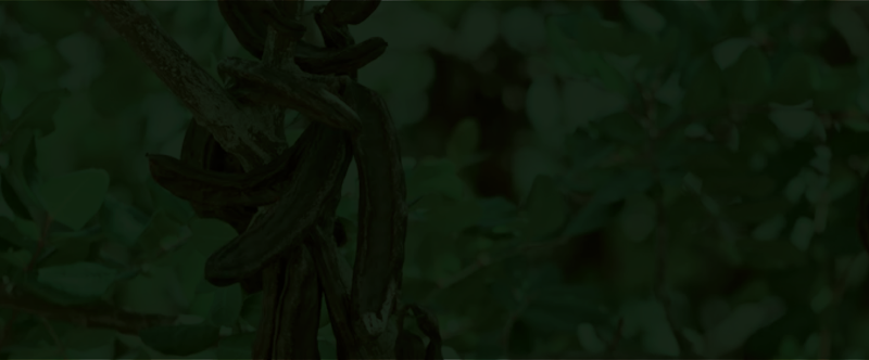 Fascino Spa Orgánico Córdoba - Day Spa in Córdoba