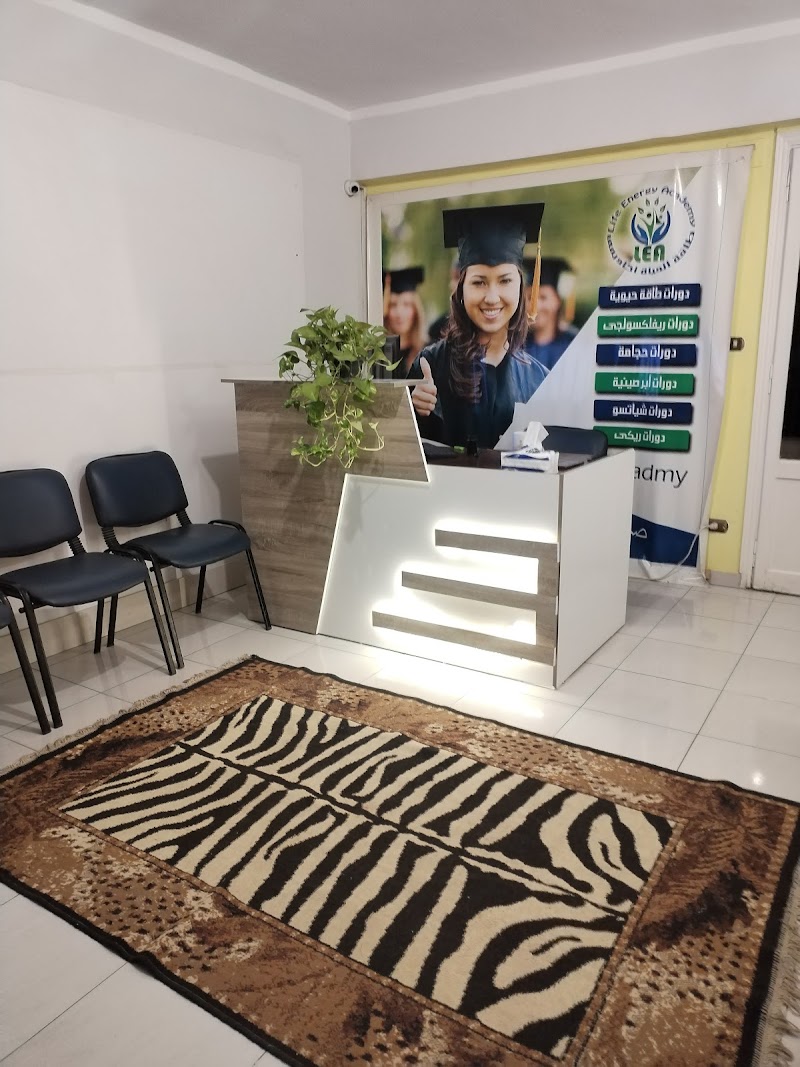 Fastest Cupping in Egypt Cairo - Day Spa in Cairo