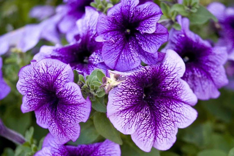 Feed Your Soul Spa Hackettstown - Day Spa in Hackettstown