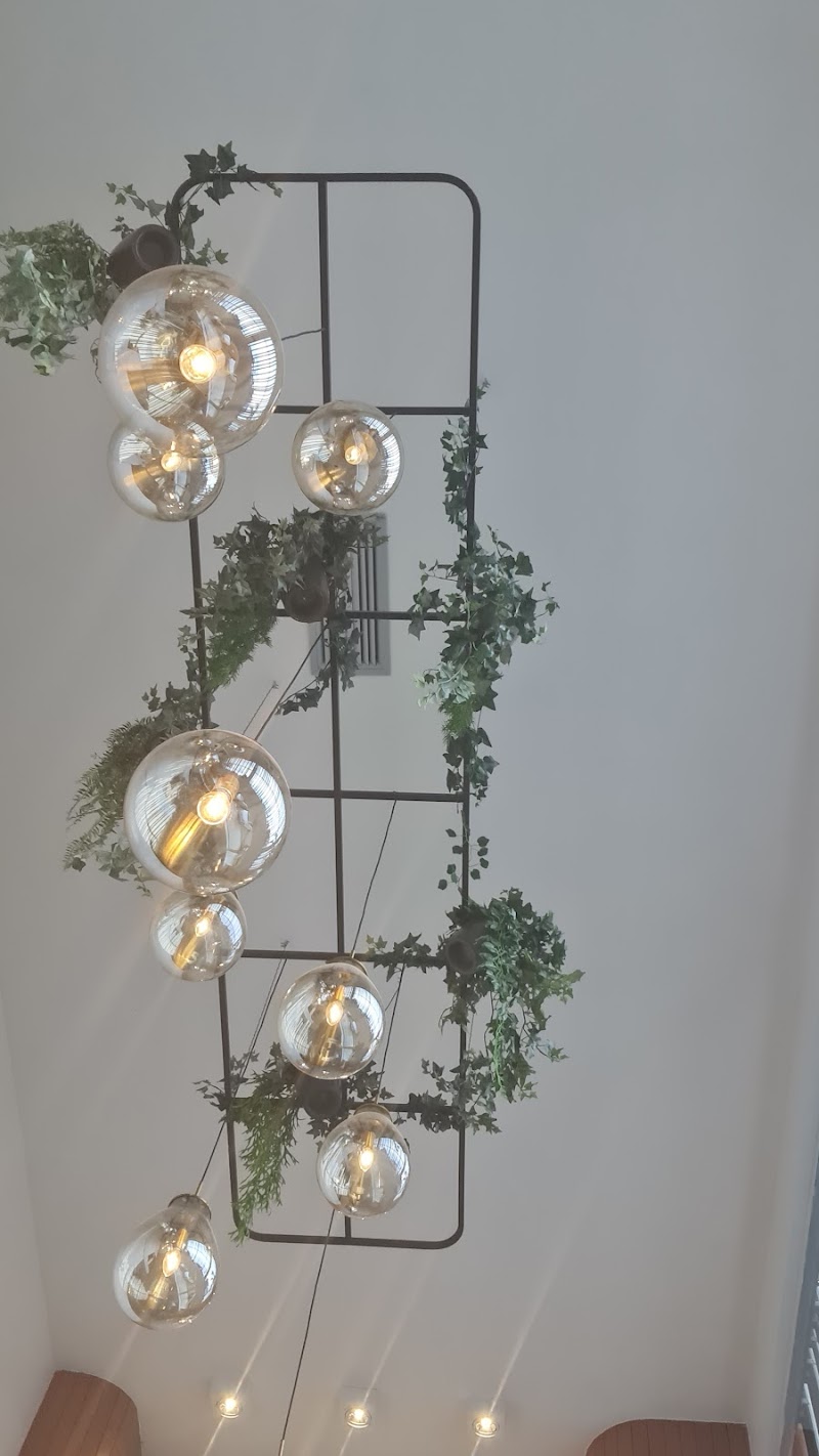 Fiolaser Brasília Lago Sul - Day Spa in Lago Sul