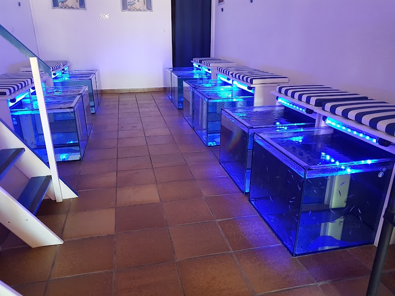 Fish Massage Ronce Sas Fmr La Tremblade - Day Spa in La Tremblade