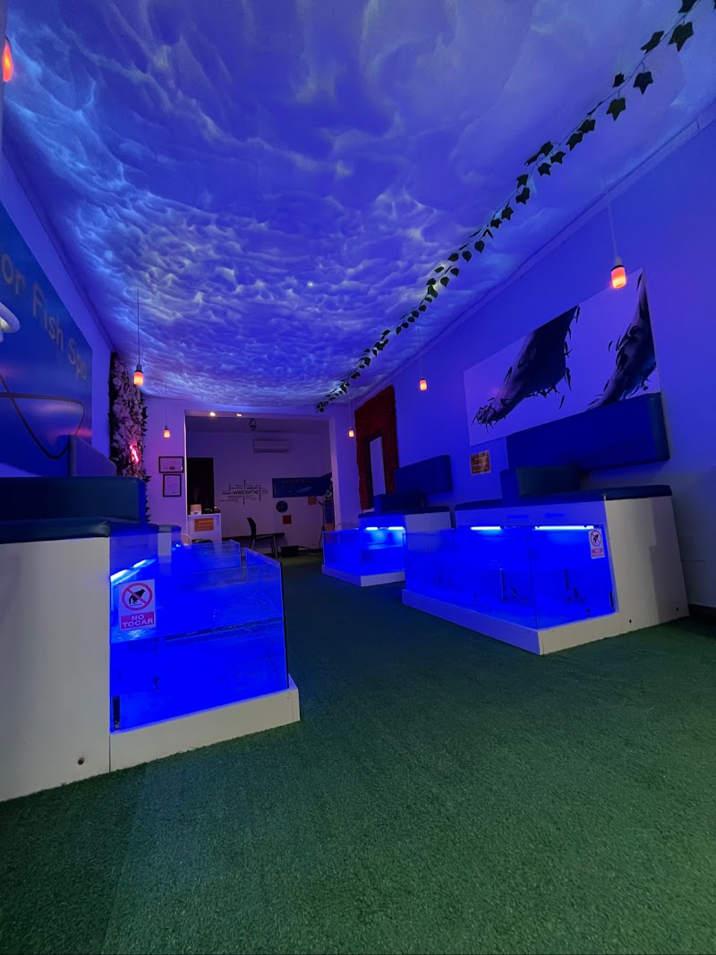 Fish Spa Dr. Estartit Torroella de Montgrí - Day Spa in Torroella de Montgrí