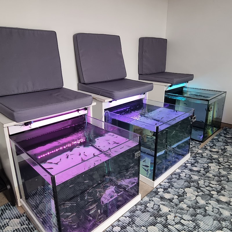 Pont-l'Évêque fish spa en auge - Day Spa in Pont-l'Évêque