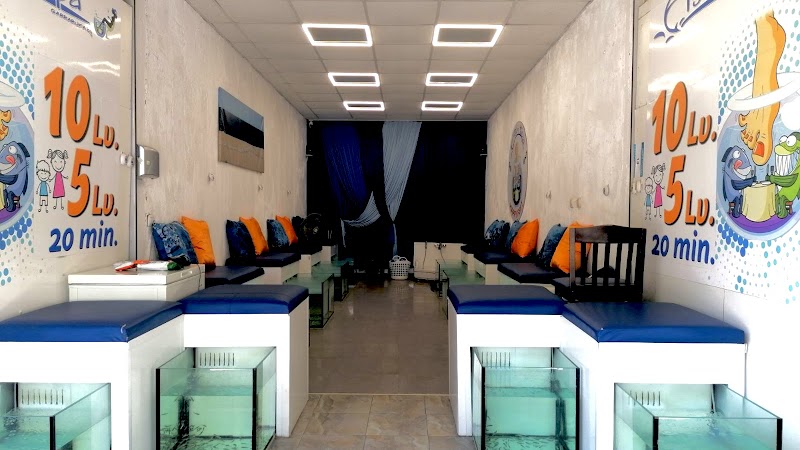 Fish Spa Primorsko - Day Spa in Primorsko