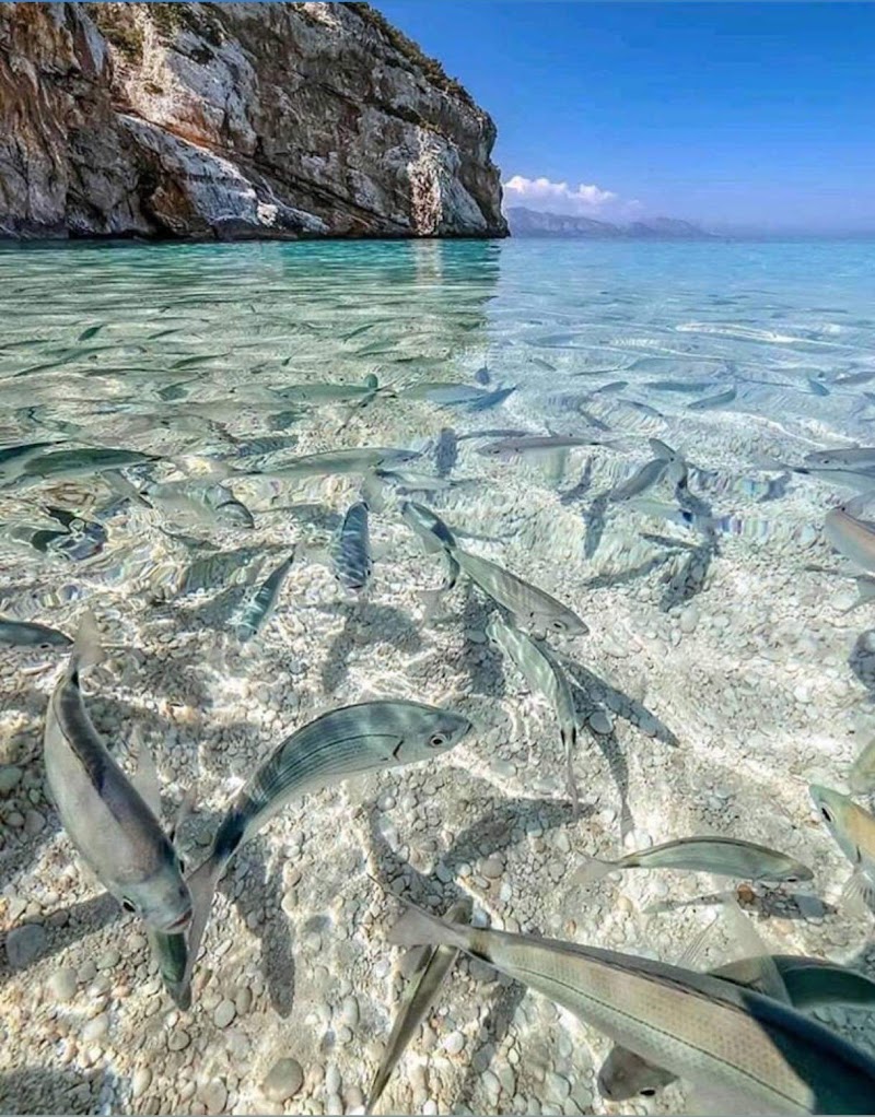 Fish Spa Siem Reap Krong Siem Reap 17254 - Day Spa in Krong Siem Reap 17254