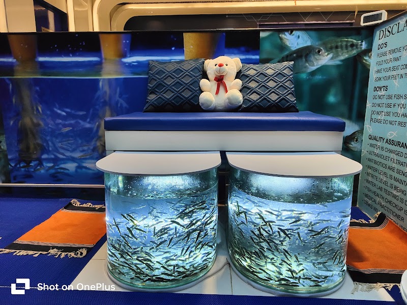 Fish Spa Tirupathi Tirupati - Day Spa in Tirupati