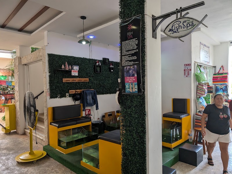 Fish Spa y Masajes  Bamboo Cozumel - Wellness Retreat in Cozumel