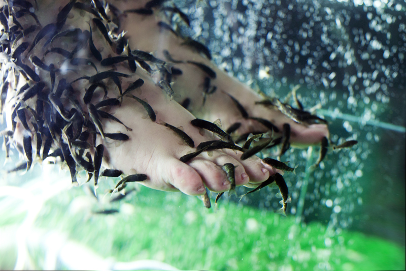 Fishmassage.ua Brovary Chubinsky St - Day Spa in Chubinsky St