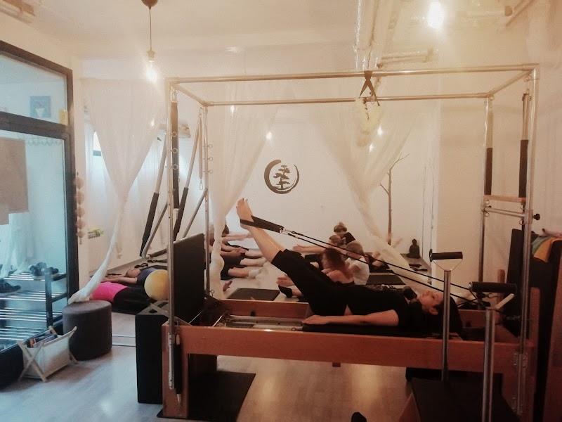 FLEXIO-Pilates Yoga Studio Zagreb - Day Spa in Zagreb