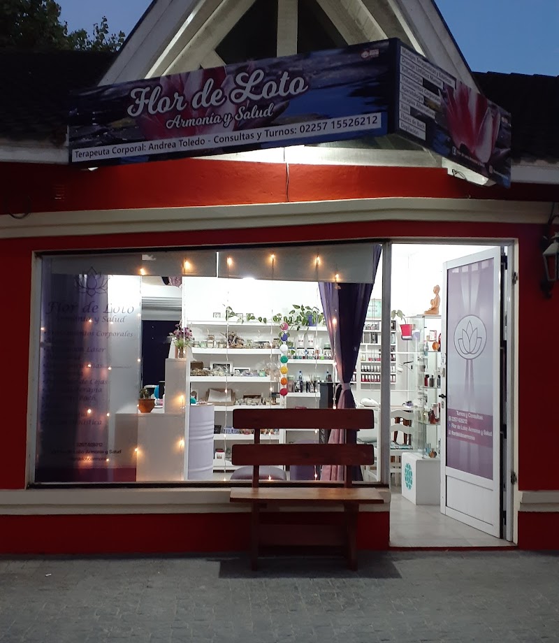 Flor de Loto Armonía y Salud San Bernardo - Day Spa in San Bernardo